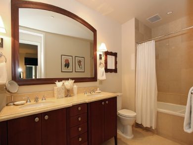 Bathroom with Shower in Tub